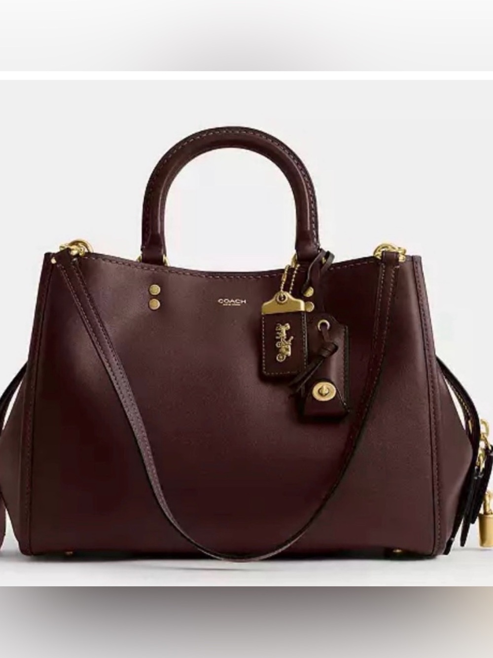 Coach Rogue 31 in Maple